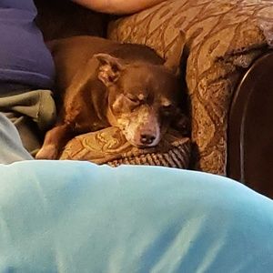 Meet your Posher, Rhonda